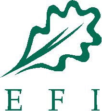 Logo EFI